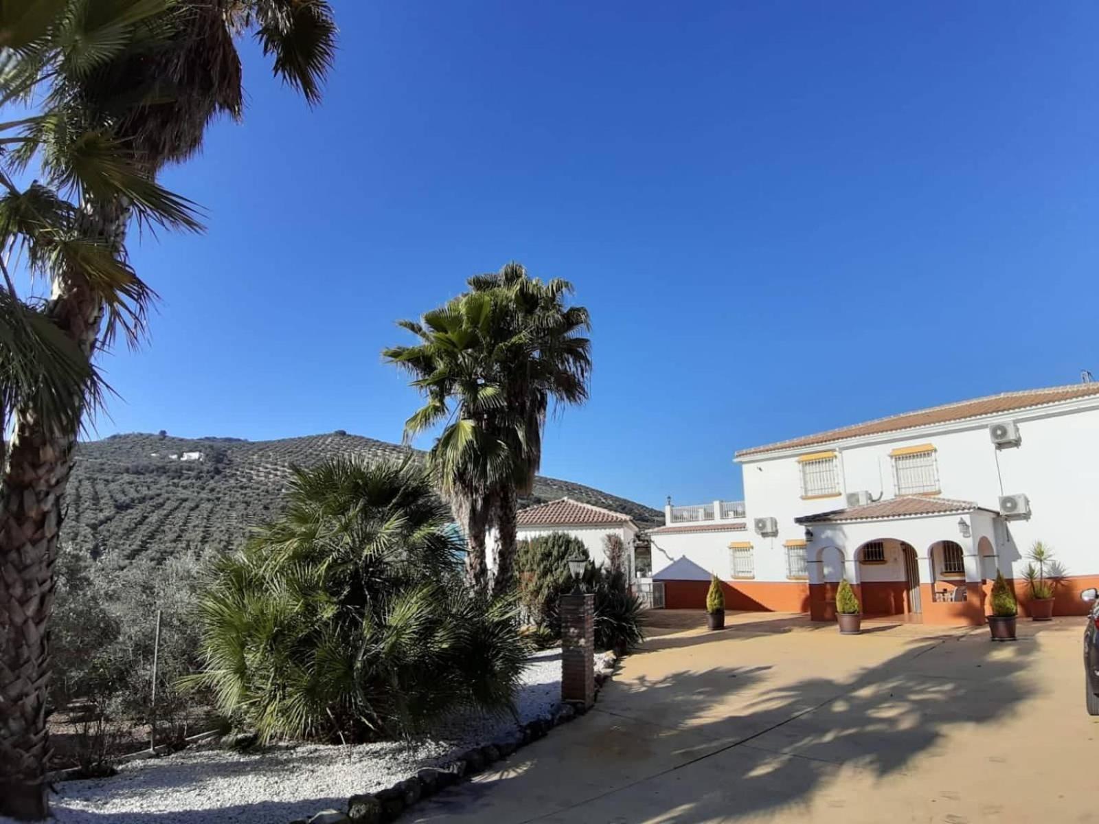 Apartament Casa Pino Solo *