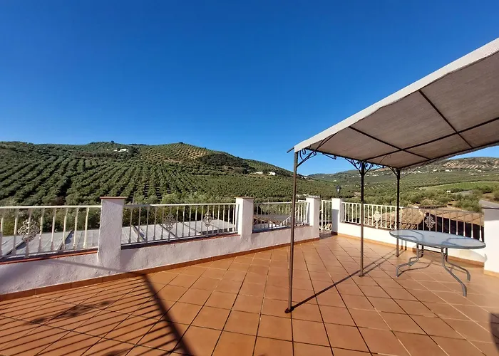 Casa Pino Solo