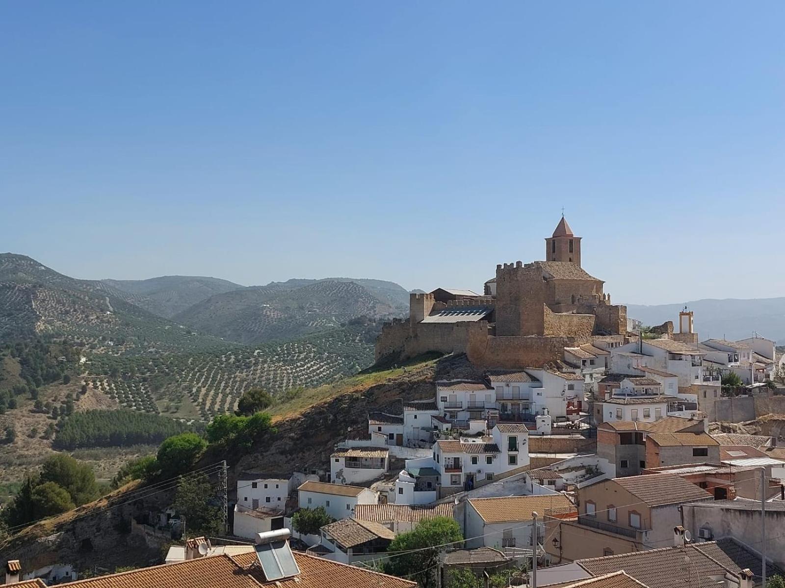 Casa Pino Solo