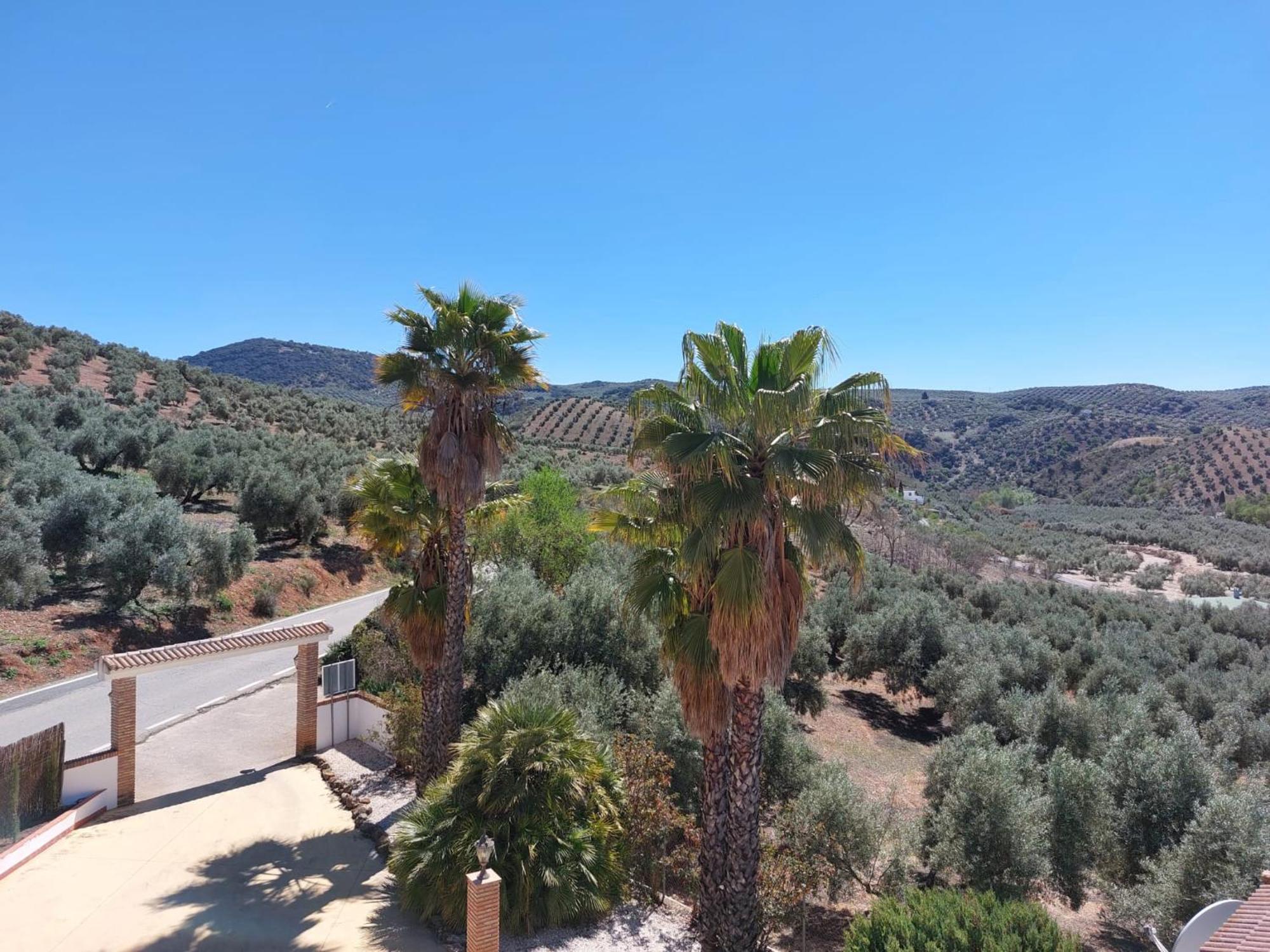 Apartment Casa Pino Solo Iznajar