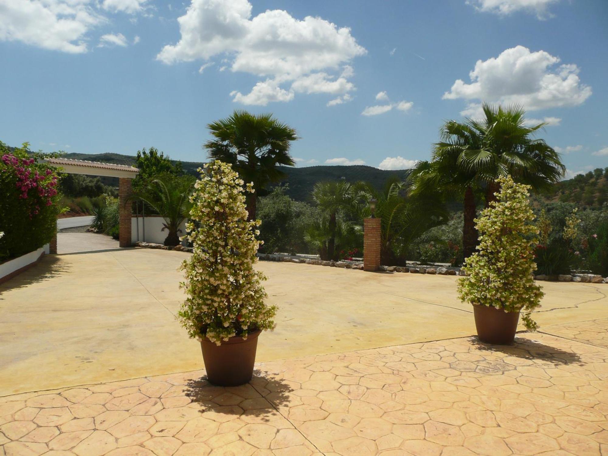 Casa Pino Solo * Iznajar