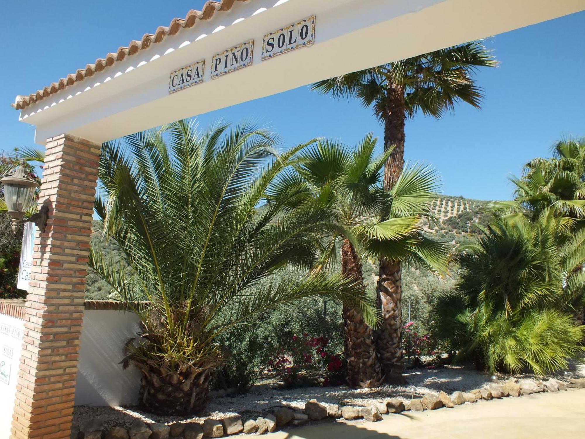 Casa Pino Solo * Iznajar